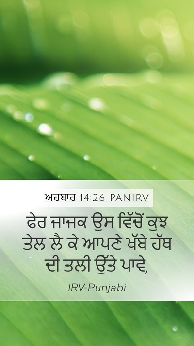 ਅਹਬਾਰ 14:26 PANIRV Mobile Phone Wallpaper - ਫੇਰ ਜਾਜਕ ਉਸ ਵਿੱਚੋਂ - Mobile Bible Verse Wallpaper
