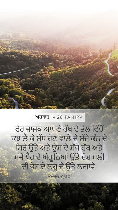 ਅਹਬਾਰ 14:28 PANIRV Bible Verse Image