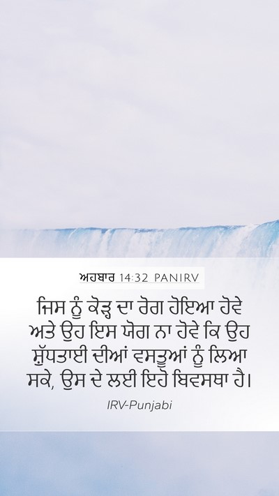 ਅਹਬਾਰ 14:32 PANIRV Bible Verse Image
