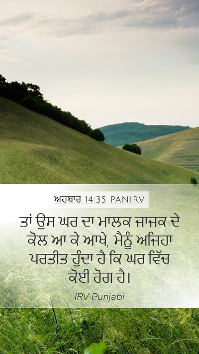 ਅਹਬਾਰ 14:35 PANIRV Mobile Phone Wallpaper - ਤਾਂ ਉਸ ਘਰ ਦਾ ਮਾਲਕ - Mobile Bible Verse Wallpaper