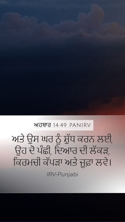 ਅਹਬਾਰ 14:49 PANIRV Bible Verse Image