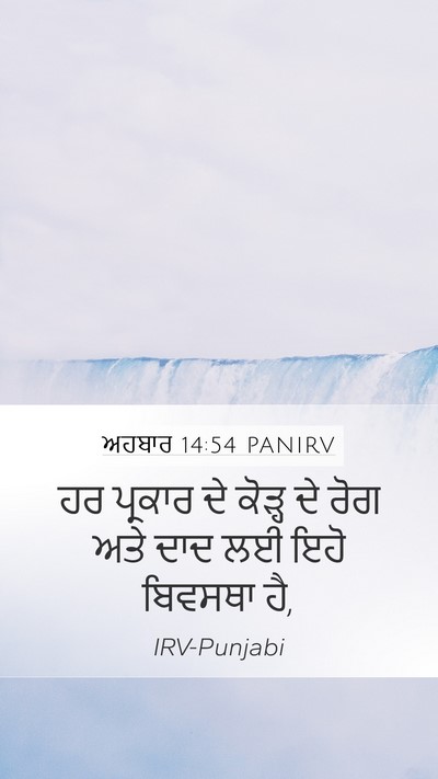 ਅਹਬਾਰ 14:54 PANIRV Bible Verse Image