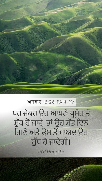 ਅਹਬਾਰ 15:28 PANIRV Bible Verse Image