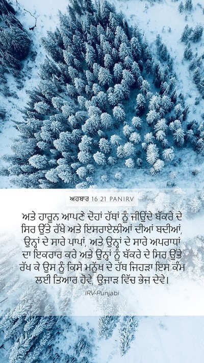 ਅਹਬਾਰ 16:21 PANIRV Bible Verse Image