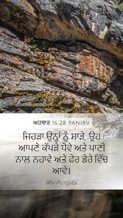 ਅਹਬਾਰ 16:28 PANIRV Bible Verse Image