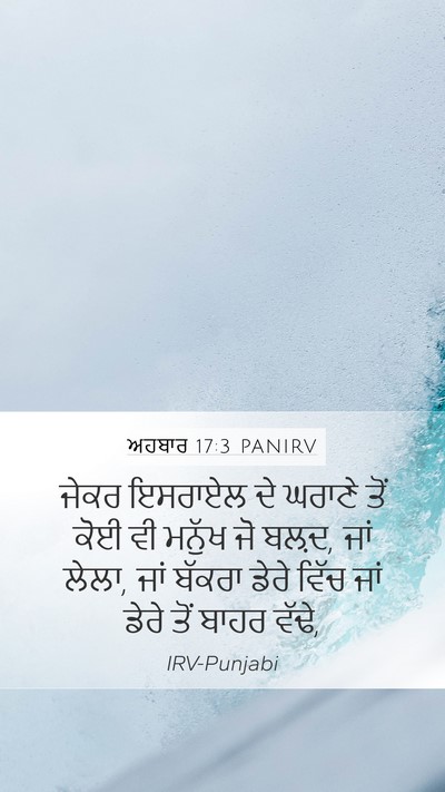 ਅਹਬਾਰ 17:3 PANIRV Bible Verse Image