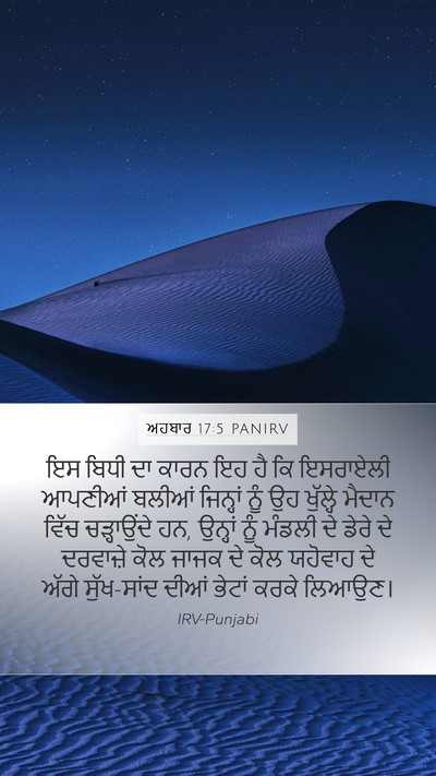 ਅਹਬਾਰ 17:5 PANIRV Mobile Phone Wallpaper - ਇਸ ਬਿਧੀ ਦਾ ਕਾਰਨ ਇਹ - Mobile Bible Verse Wallpaper