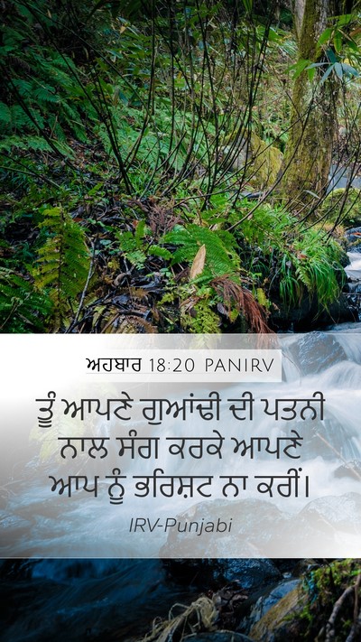 ਅਹਬਾਰ 18:20 PANIRV Bible Verse Image