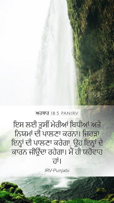 ਅਹਬਾਰ 18:5 PANIRV Bible Verse Image