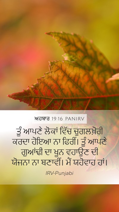 ਅਹਬਾਰ 19:16 PANIRV Bible Verse Image