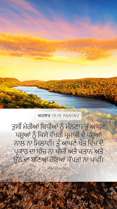 ਅਹਬਾਰ 19:19 PANIRV Bible Verse Image