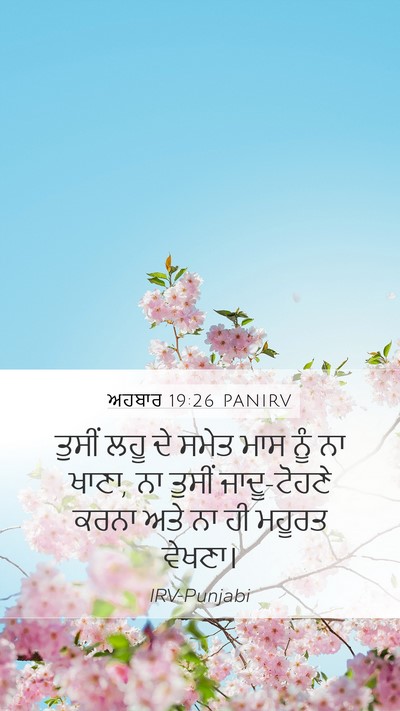 ਅਹਬਾਰ 19:26 PANIRV Bible Verse Image