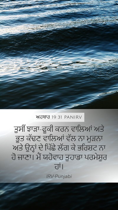 ਅਹਬਾਰ 19:31 PANIRV Bible Verse Image