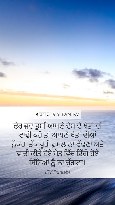 ਅਹਬਾਰ 19:9 PANIRV Bible Verse Image