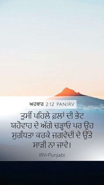 ਅਹਬਾਰ 2:12 PANIRV Bible Verse Image