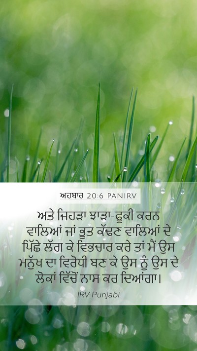 ਅਹਬਾਰ 20:6 PANIRV Bible Verse Image