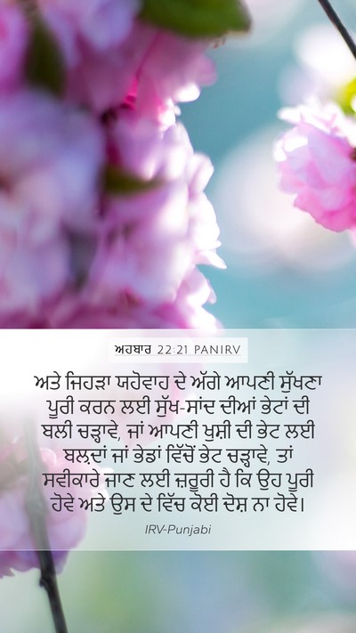 ਅਹਬਾਰ 22:21 PANIRV Bible Verse Image