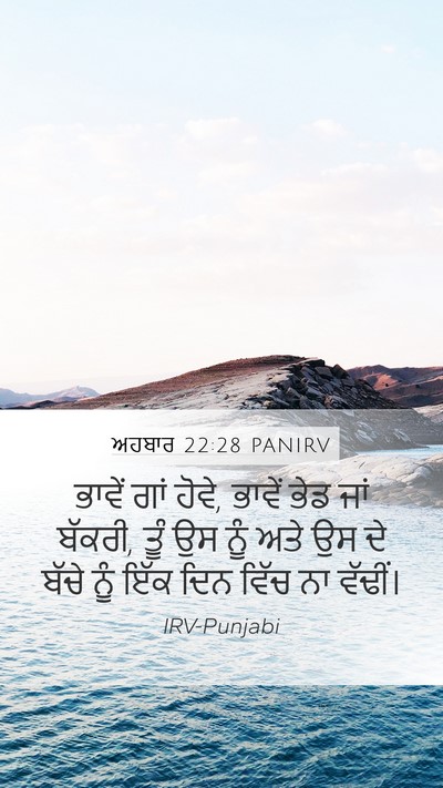 ਅਹਬਾਰ 22:28 PANIRV Bible Verse Image