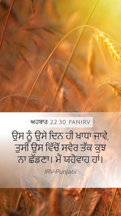 ਅਹਬਾਰ 22:30 PANIRV Bible Verse Image