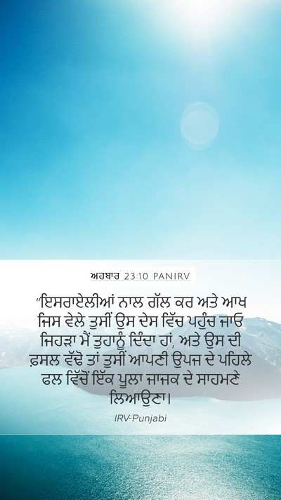 ਅਹਬਾਰ 23:10 PANIRV Bible Verse Image