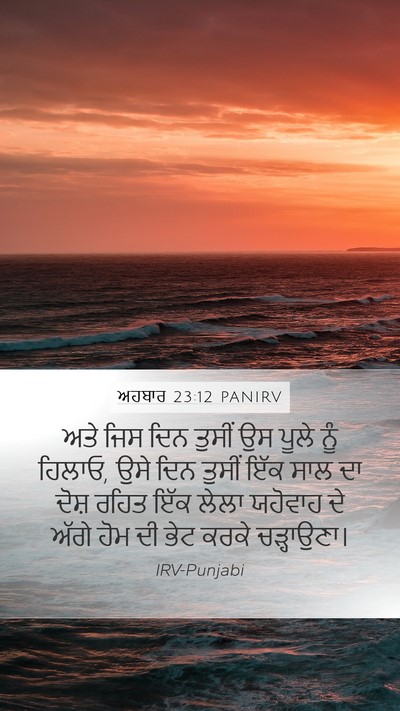 ਅਹਬਾਰ 23:12 PANIRV Bible Verse Image