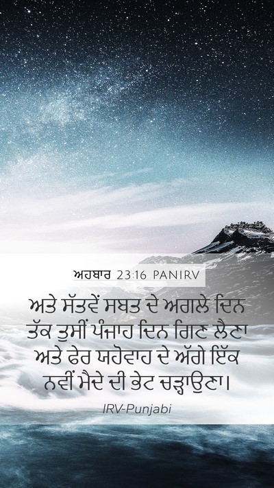 ਅਹਬਾਰ 23:16 PANIRV Bible Verse Image