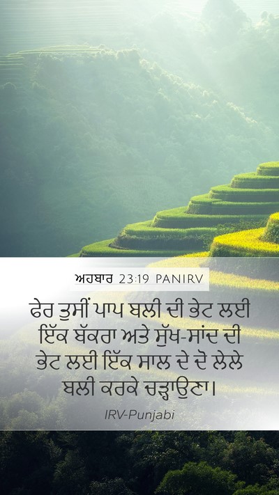 ਅਹਬਾਰ 23:19 PANIRV Mobile Phone Wallpaper - ਫੇਰ ਤੁਸੀਂ ਪਾਪ ਬਲੀ - Mobile Bible Verse Wallpaper