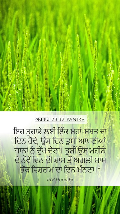 ਅਹਬਾਰ 23:32 PANIRV Bible Verse Image
