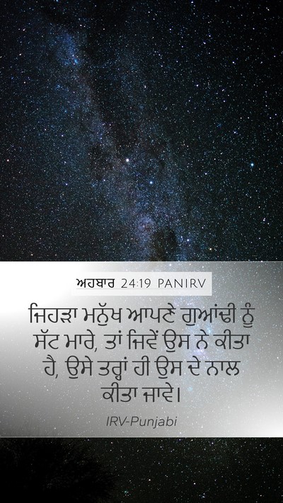 ਅਹਬਾਰ 24:19 PANIRV Bible Verse Image
