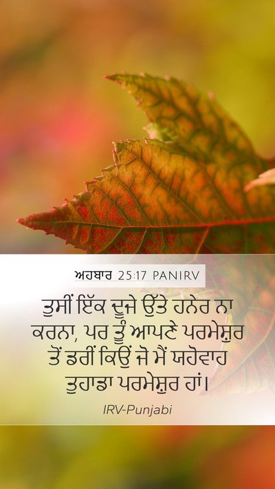 ਅਹਬਾਰ 25:17 PANIRV Bible Verse Image