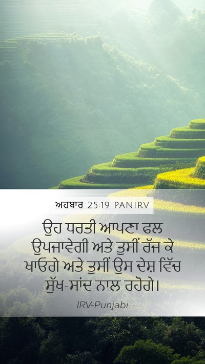ਅਹਬਾਰ 25:19 PANIRV Mobile Phone Wallpaper - ਉਹ ਧਰਤੀ ਆਪਣਾ ਫਲ - Mobile Bible Verse Wallpaper
