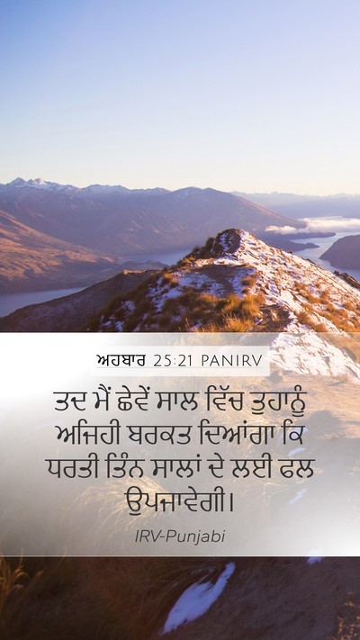 ਅਹਬਾਰ 25:21 PANIRV Bible Verse Image