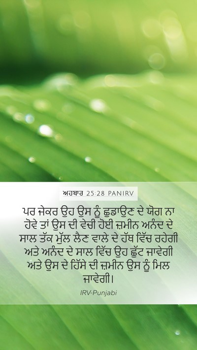 ਅਹਬਾਰ 25:28 PANIRV Bible Verse Image