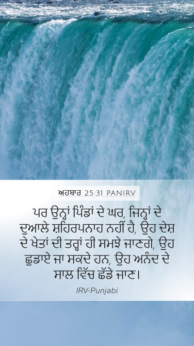 ਅਹਬਾਰ 25:31 PANIRV Bible Verse Image