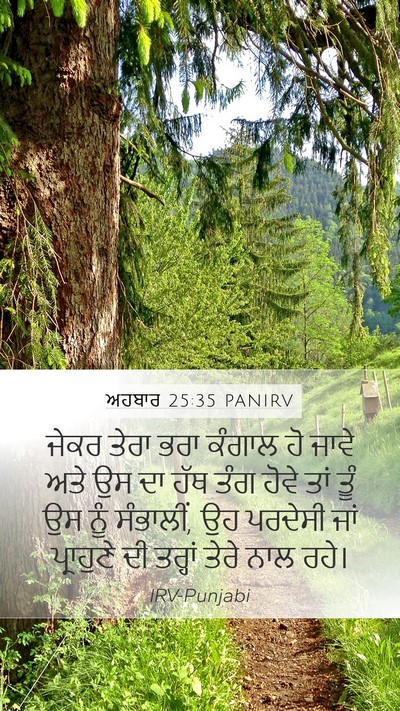 ਅਹਬਾਰ 25:35 PANIRV Bible Verse Image