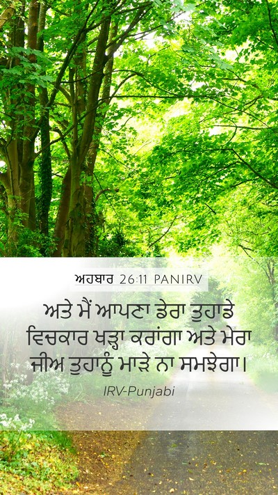 ਅਹਬਾਰ 26:11 PANIRV Bible Verse Image