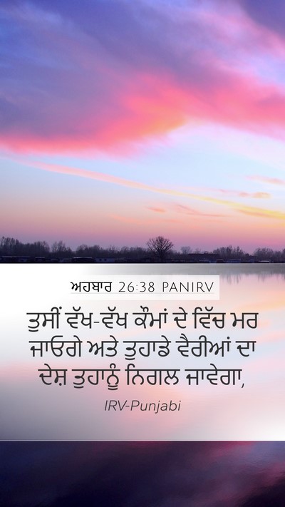 ਅਹਬਾਰ 26:38 PANIRV Bible Verse Image