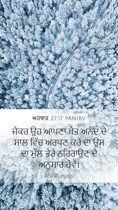 ਅਹਬਾਰ 27:17 PANIRV Mobile Phone Wallpaper - ਜੇਕਰ ਉਹ ਆਪਣਾ ਖੇਤ - Mobile Bible Verse Wallpaper