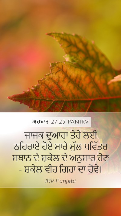 ਅਹਬਾਰ 27:25 PANIRV Bible Verse Image