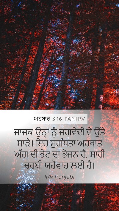 ਅਹਬਾਰ 3:16 PANIRV Bible Verse Image