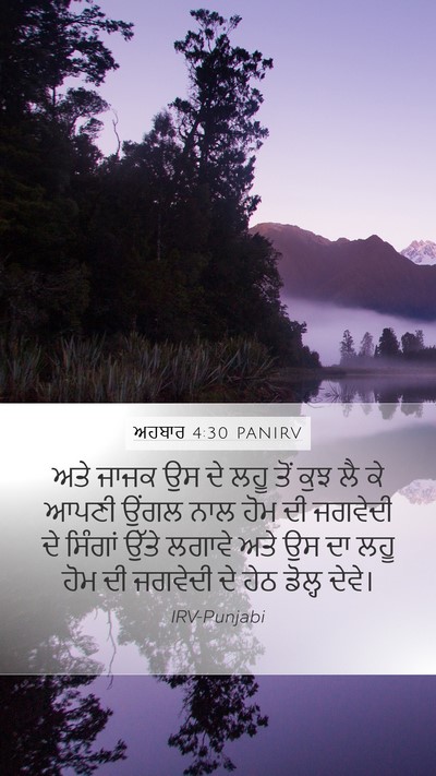 ਅਹਬਾਰ 4:30 PANIRV Mobile Phone Wallpaper - ਅਤੇ ਜਾਜਕ ਉਸ ਦੇ ਲਹੂ - Mobile Bible Verse Wallpaper