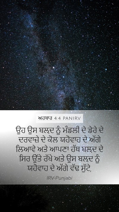 ਅਹਬਾਰ 4:4 PANIRV Mobile Phone Wallpaper - ਉਹ ਉਸ ਬਲ਼ਦ ਨੂੰ - Mobile Bible Verse Wallpaper