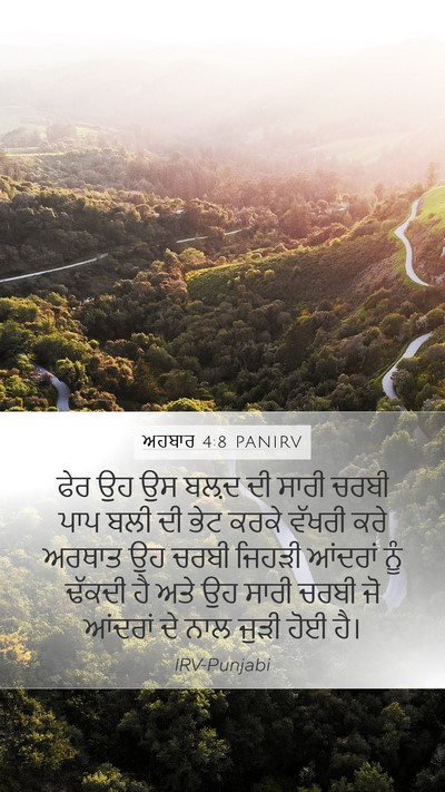 ਅਹਬਾਰ 4:8 PANIRV Bible Verse Image