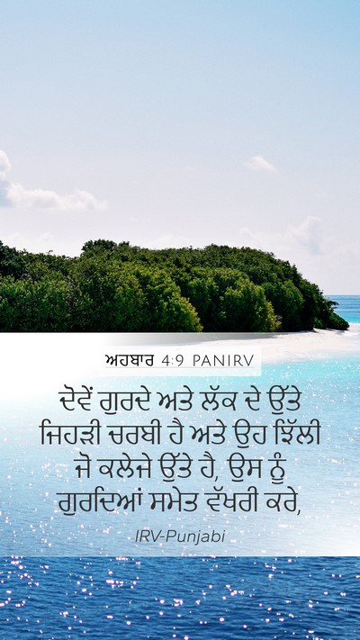 ਅਹਬਾਰ 4:9 PANIRV Bible Verse Image