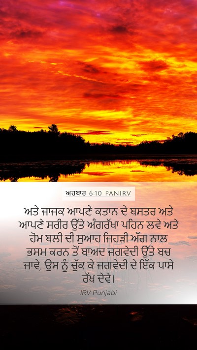 ਅਹਬਾਰ 6:10 PANIRV Bible Verse Image