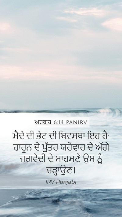 ਅਹਬਾਰ 6:14 PANIRV Bible Verse Image