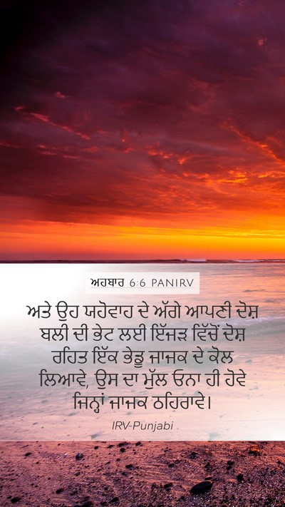 ਅਹਬਾਰ 6:6 PANIRV Bible Verse Image
