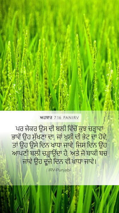 ਅਹਬਾਰ 7:16 PANIRV Bible Verse Image