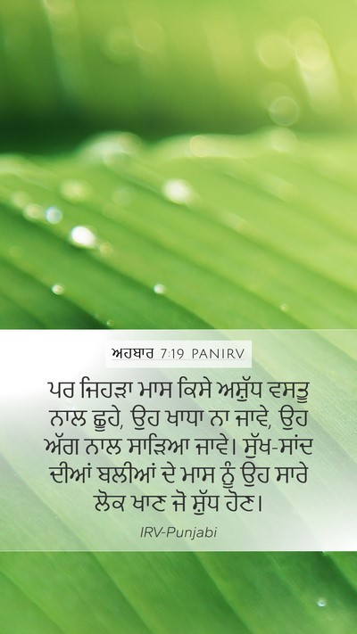 ਅਹਬਾਰ 7:19 PANIRV Bible Verse Image