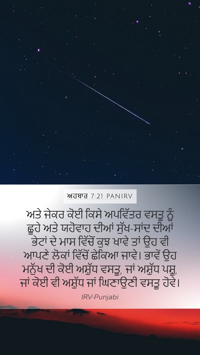 ਅਹਬਾਰ 7:21 PANIRV Bible Verse Image